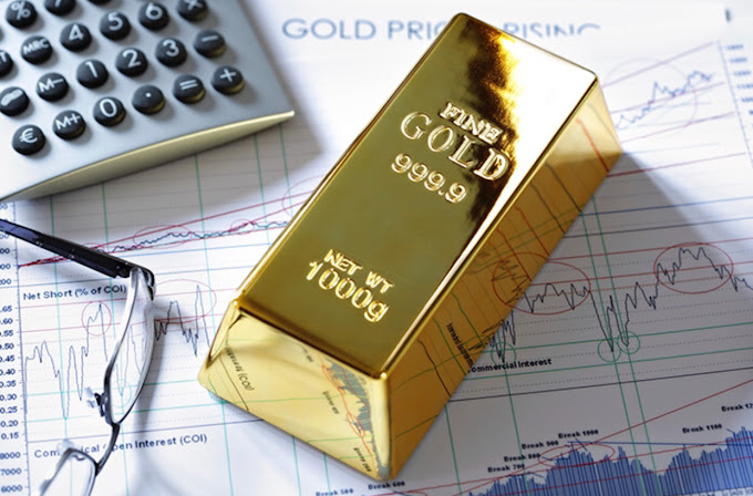 Noble Gold Fees