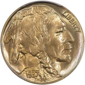1937-D Buffalo Nickel