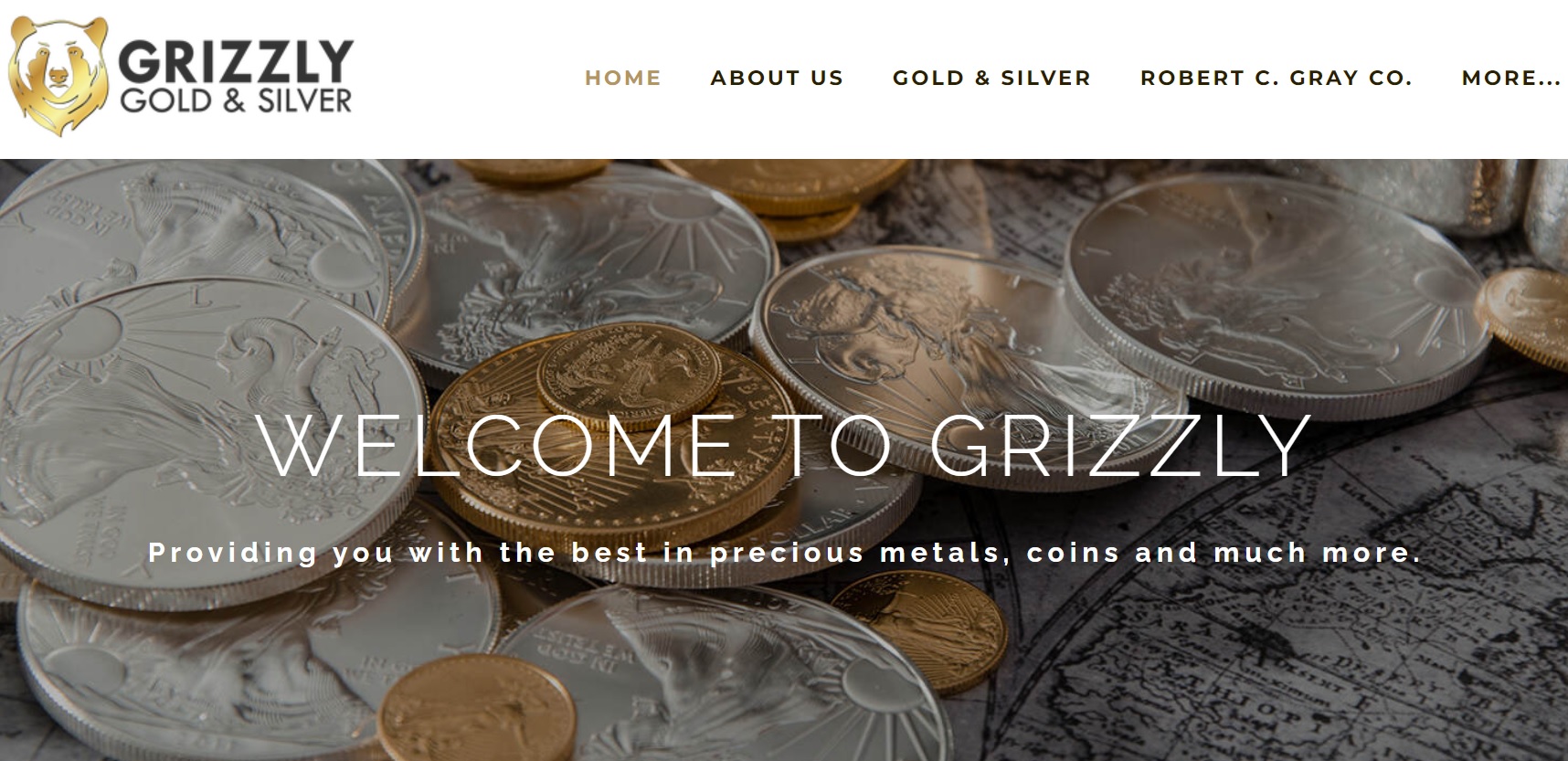 Grizzly Gold and Silver Inc Review 2026