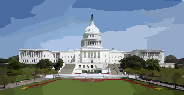 government