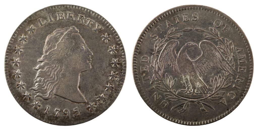 the flowing hair dollar